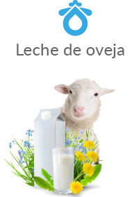 Leche de oveja