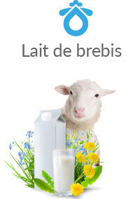 Leche de oveja